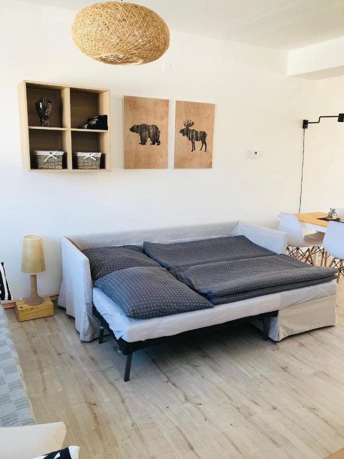 Apartman Orlicke Zahori ภายนอก รูปภาพ